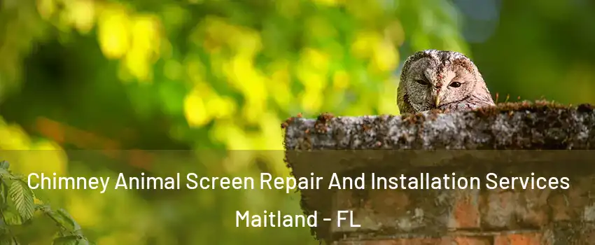 Chimney Animal Screen Repair And Installation Services Maitland - FL