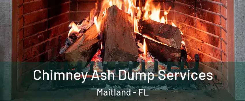  Chimney Ash Dump Services Maitland - FL