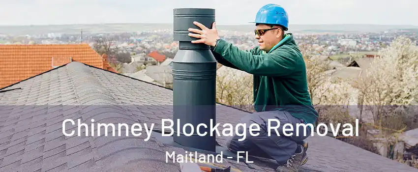  Chimney Blockage Removal Maitland - FL