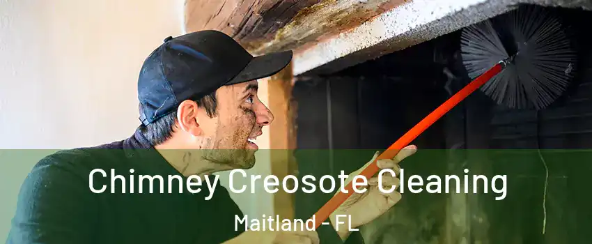  Chimney Creosote Cleaning Maitland - FL