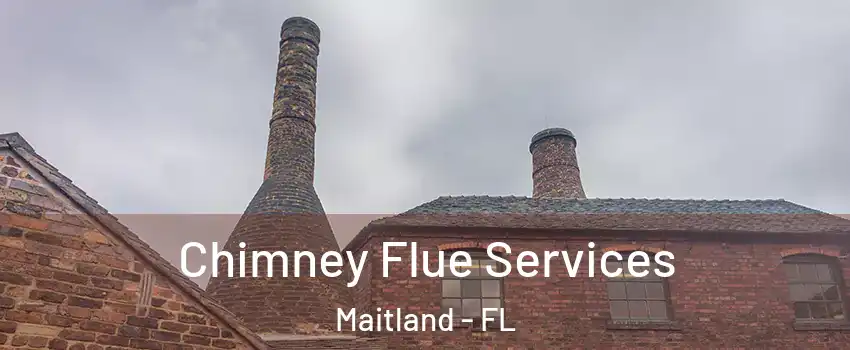  Chimney Flue Services Maitland - FL