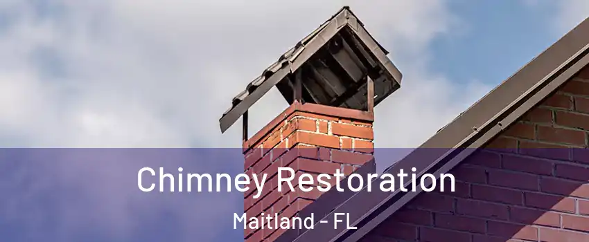  Chimney Restoration Maitland - FL