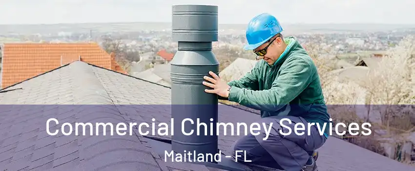  Commercial Chimney Services Maitland - FL
