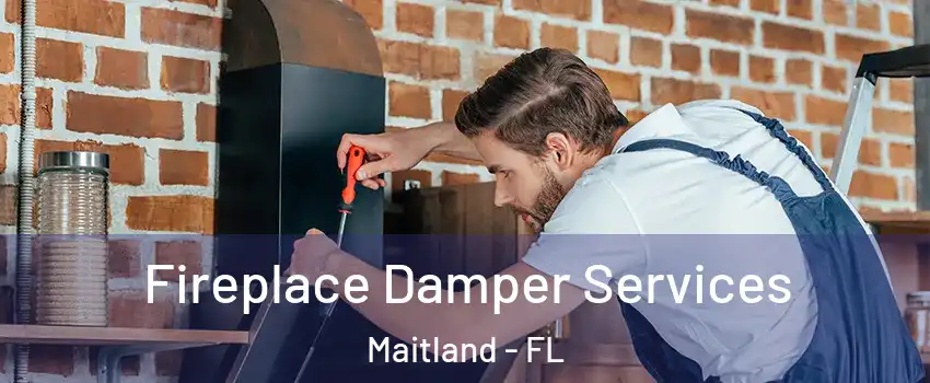  Fireplace Damper Services Maitland - FL