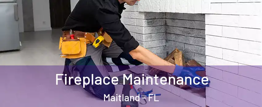  Fireplace Maintenance Maitland - FL
