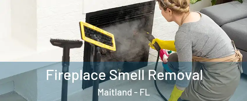 Fireplace Smell Removal Maitland - FL