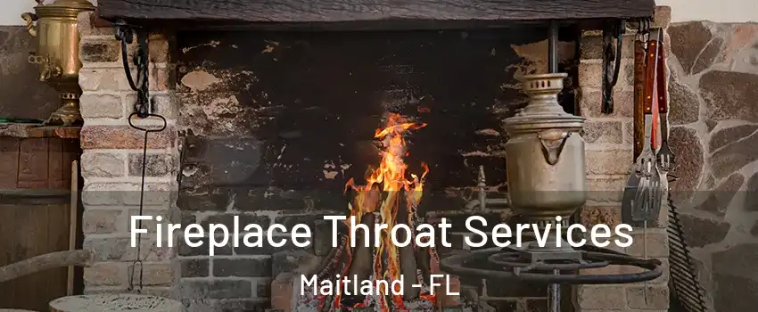  Fireplace Throat Services Maitland - FL