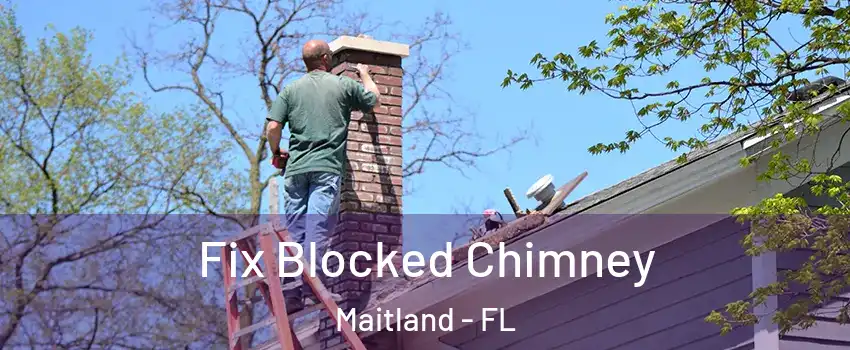  Fix Blocked Chimney Maitland - FL