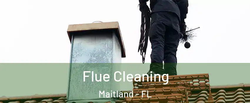  Flue Cleaning Maitland - FL