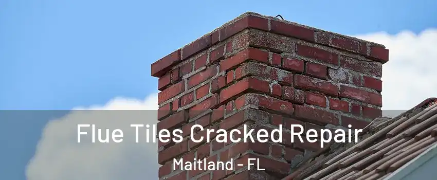 Flue Tiles Cracked Repair Maitland - FL