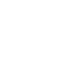 Professional Chimney Flue Installation in Maitland, Florida