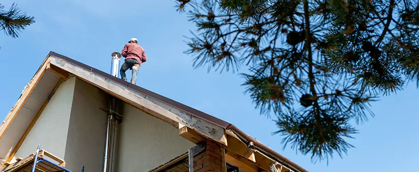 Birds Removal Contractors from Chimney in Maitland, FL