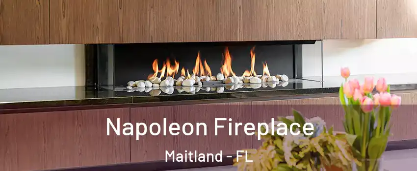  Napoleon Fireplace Maitland - FL