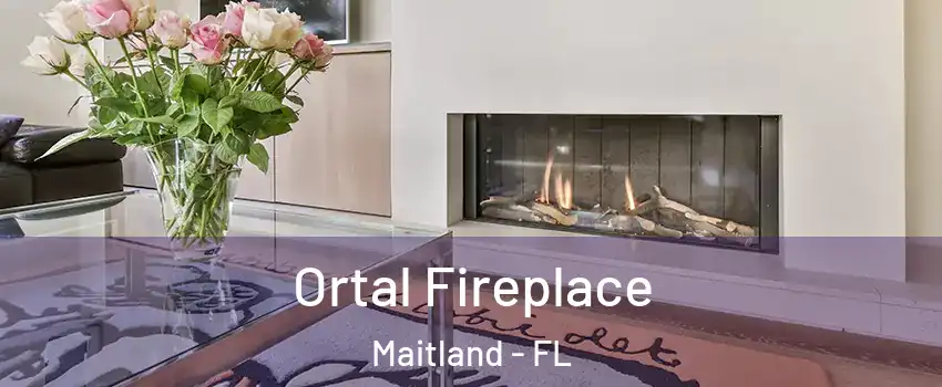  Ortal Fireplace Maitland - FL
